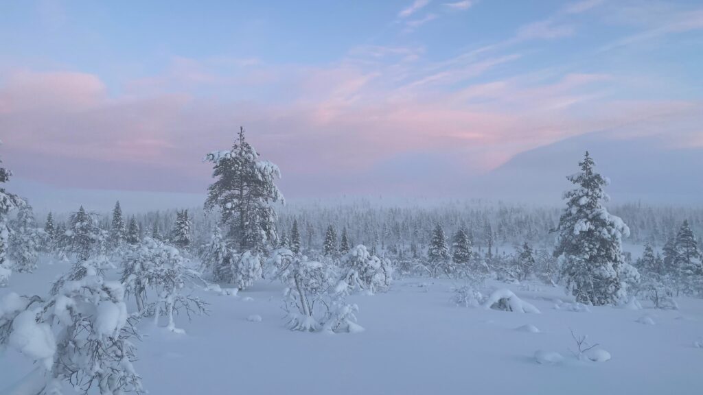 Lapland Wilderness